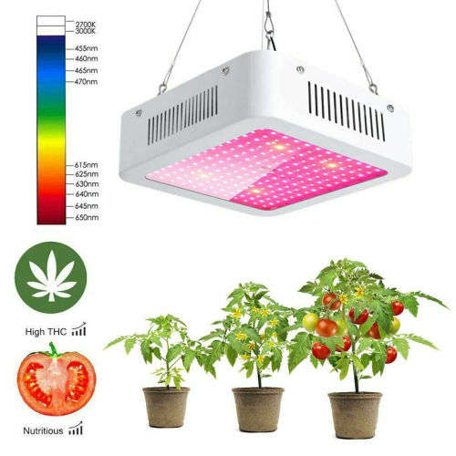 1000W PLANT GROW LIGHT...EXTRA GROWING TIME...HIGH CROP YIELD !!