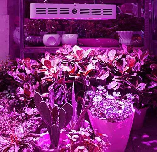 1000W PLANT GROW LIGHT...EXTRA GROWING TIME...HIGH CROP YIELD !!