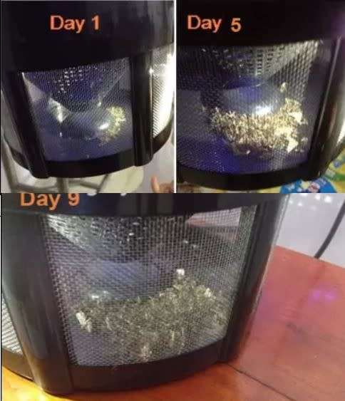 PHOTOCATALYSTIC MOSQUITO TRAP...SAFE TO USE...THIS REALLY WORKS !! DURABLE !!