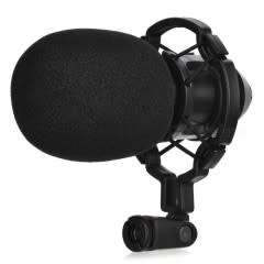 CONDENSER MICROPHONE COMBO - BARGAIN BUY !!