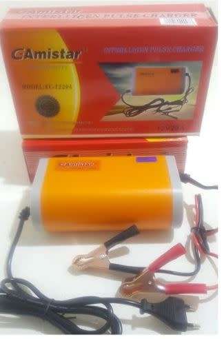 20A INTELLIGENT PULSE CHARGER / IDEAL FOR SOLAR BATTERIES