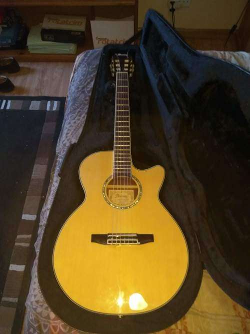 Ibanez AEG10N acoustic electric nylon string guitar, in hard Ibanez foam case