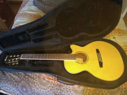 Ibanez AEG10N acoustic electric nylon string guitar, in hard Ibanez foam case