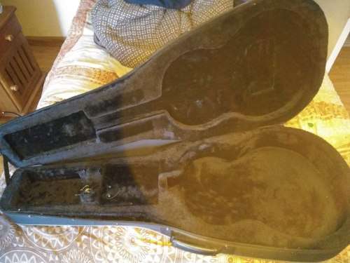 Ibanez AEG10N acoustic electric nylon string guitar, in hard Ibanez foam case
