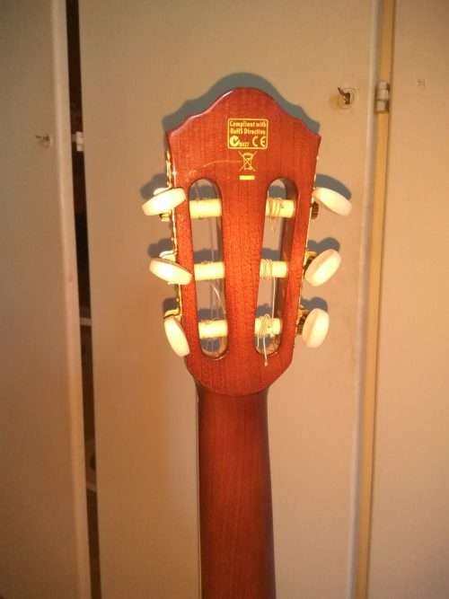 Ibanez AEG10N acoustic electric nylon string guitar, in hard Ibanez foam case