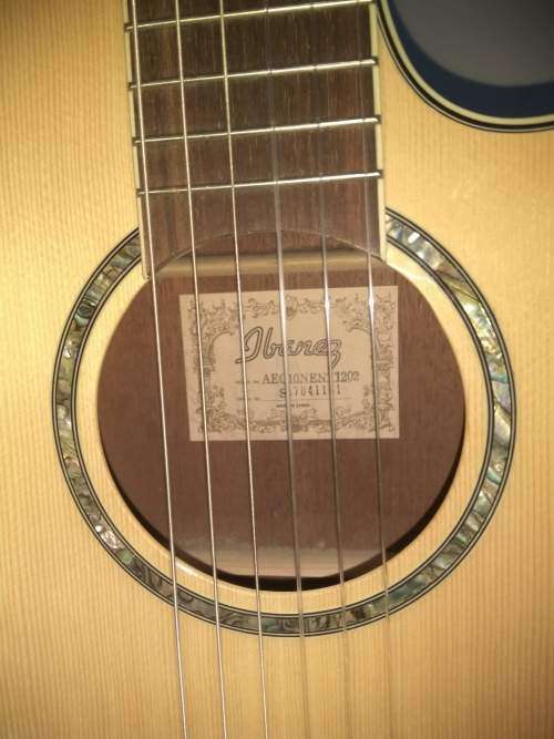 Ibanez AEG10N acoustic electric nylon string guitar, in hard Ibanez foam case
