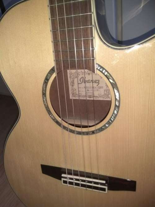 Ibanez AEG10N acoustic electric nylon string guitar, in hard Ibanez foam case
