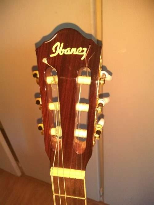 Ibanez AEG10N acoustic electric nylon string guitar, in hard Ibanez foam case