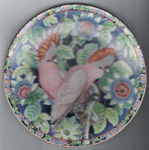 *BARGAIN* - Aynsley Exotic Birds (Leadbeater's Cockatoo) Fine Bone China Plate