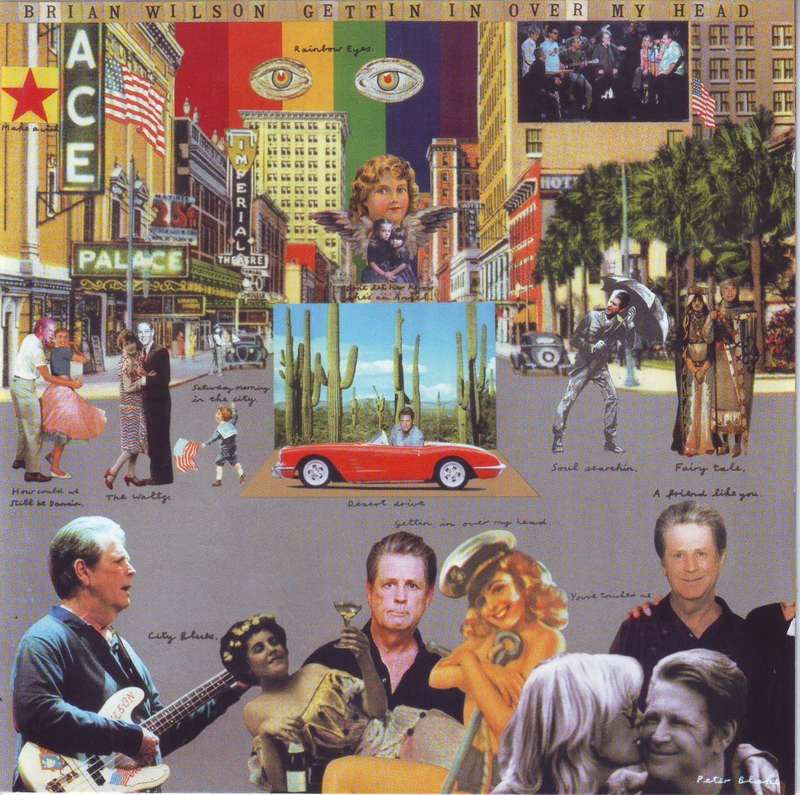 BRIAN WILSON - Gettin` in over my head 8122-76471-2 NM