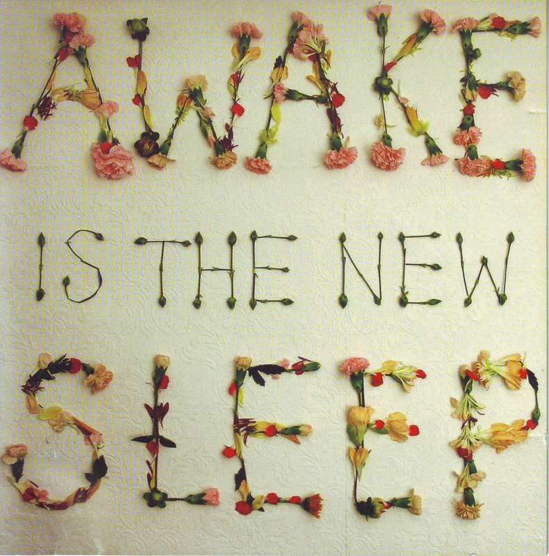 BEN LEE - Awake is the new sleep (CD) SLCD 096 EX
