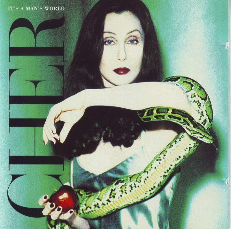 CHER - It`s a man`s world (CD) WICD 5224 EX