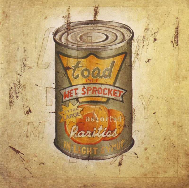 TOAD THE WET SPROCKET - In light syrup (CD) CK 67394 VG