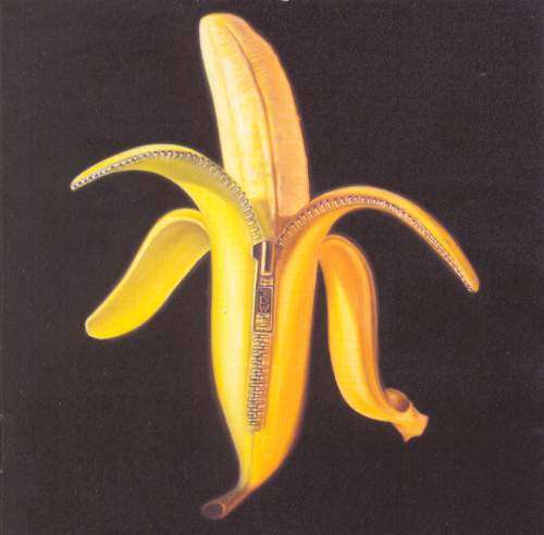 THE DANDY WARHOLS - WELCOME TO THE MONKEY HOUSE CDST (WFL) 1233