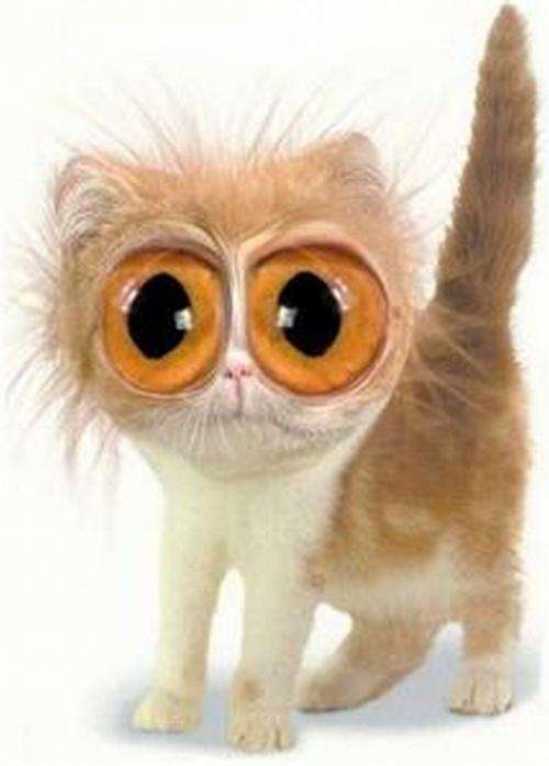 '4250' GLASS CATS EYE BEADS - WITH LOADS OF FREEBIES!!!