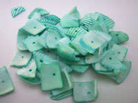 Pack of 12 - MINT SHELL PIECES