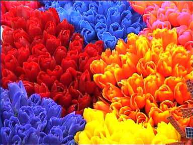 '5024' - "NEW STOCK" - 100% GLASS BEADS  - YOUR ALL IN ONE KIT!!!
