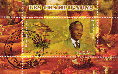 MANDELA ms 2009 MUSHROOM MINIATURE SHEET FROM CONGO CTO USED