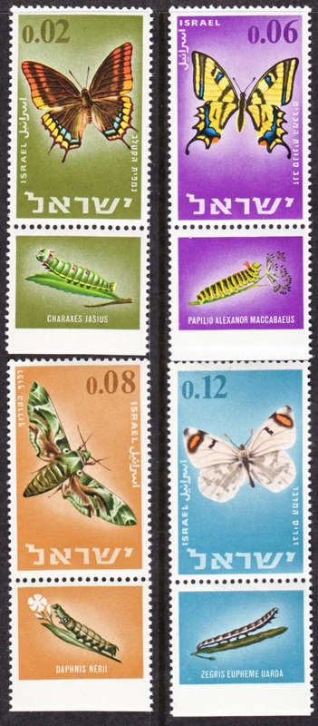 ISRAEL 1965 BUTTERFLIES AND MOTHS WITH TABS UNMOUNTED MINT COMPLETE SET SG#323-6