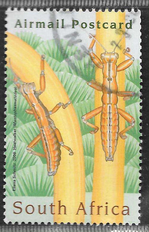 SOUTH AFRICA 2008 INTERNATIONAL CONGRESS OF ENTOMOLOGY POSTAL USED COMPLETE