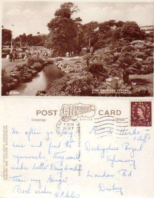 G.B. old Photographic POSTCARD Pine Walk & Stream Bournmouth Gardens 'Sunray Series'  #CM286