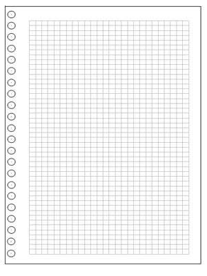 22 HOLE RAPKIN RING BINDER LEAVES ONLY 50 INTERLEAVED EXTRA PAGES NEW