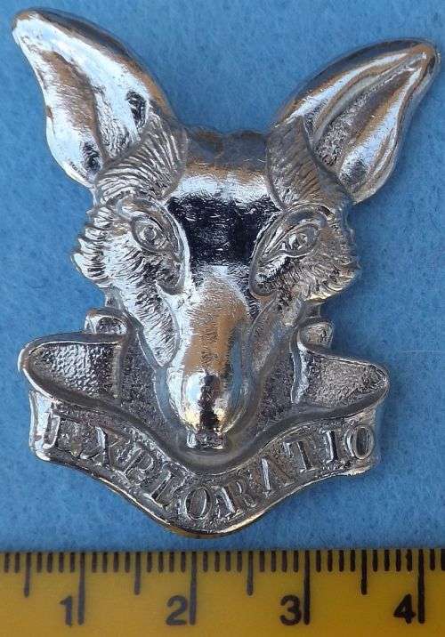 SADF Intelligence Corps Cap Badge shortened screw posts