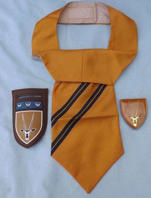 SA ARMY(SADF)  -- 8 SA Infantry Battalion Flashes plus Cravat -- Winner takes all three!!!