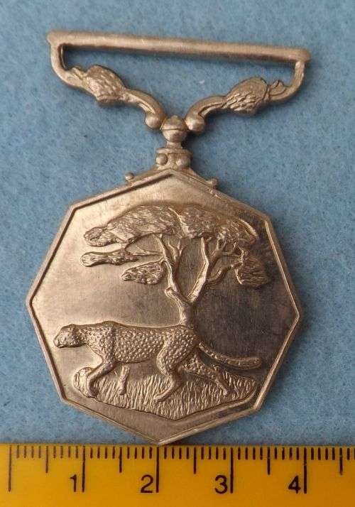 Full size Southern Africa Medal   39202   ** Worldwide Shipping**
