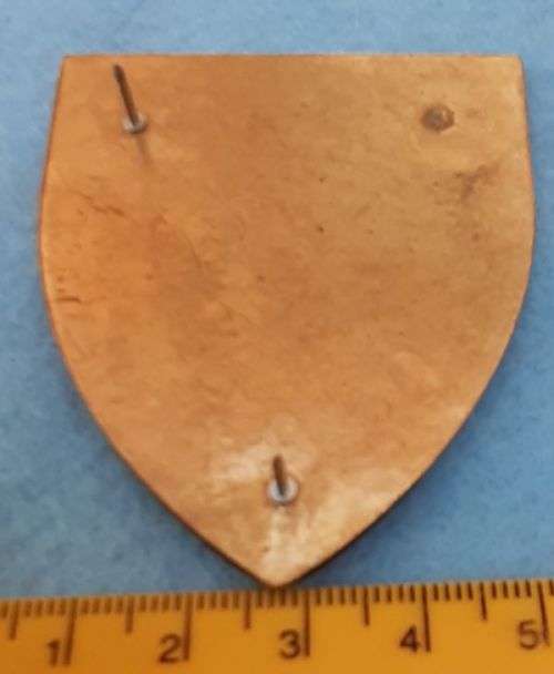 REGIMENT DE WET  SHOULDER FLASH - 2  Pins