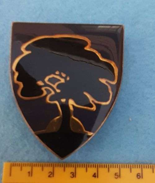 SCHWEIZER - RENEKE COMMANDO   SHOULDER FLASH - 2 Pins   Dinnes 4876