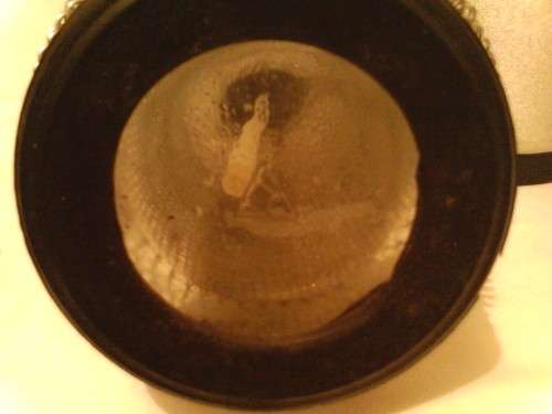3 x VINTAGE "SODA SELTZER DISPENSER SYPHONS" 1940-50's, ITEMS WITH GOOD COLLECTION VALUE, READ BELOW