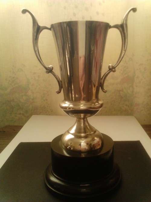 BEAUTIFUL UNUSED SILVER PLATED TROPHY, WITH GOOD VALUE, SEE BELOW.