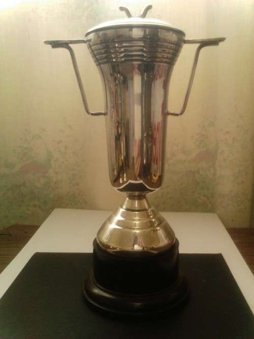 BEAUTIFUL UNUSED SILVER PLATED TROPHY, WITH GOOD VALUE, SEE BELOW.