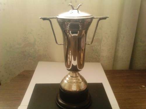 BEAUTIFUL UNUSED SILVER PLATED TROPHY, WITH GOOD VALUE, SEE BELOW.
