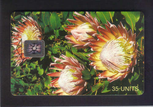 SA SPECIAL EDITION PHONE CARD 35 UNITS (SCHLUMBERGER) - CAT. VALUE R800+ ,SEE SCANS.