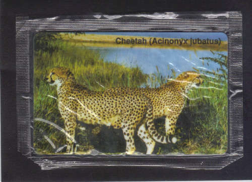 Scarce Namibia -1990's Special Issue, unused prepaid phone card (sealed), Value R500+ .