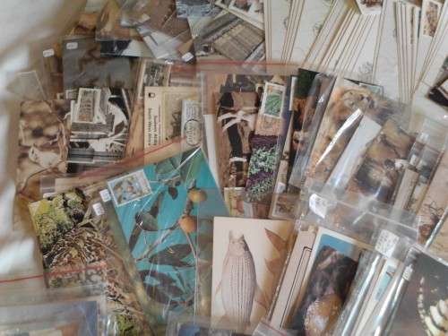 VERY NICE COLLECTION OF 650+ MAXI CARDS & SOME DATE-STAMPS CARDS, VERY GOOD VALUE - READ BELOW.