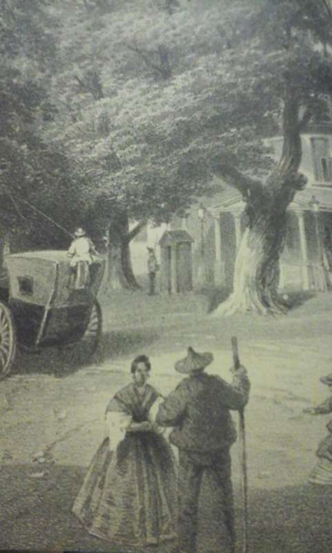 Life at the Cape, a hundred years ago by a Lady.