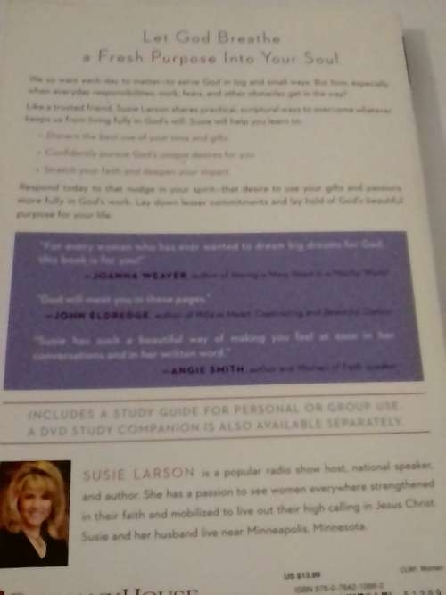 Your Beautiful Purpose, by Susie Larson.