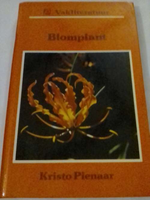 Blomplant deur Kristo Pienaar.