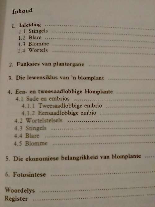 Blomplant deur Kristo Pienaar.