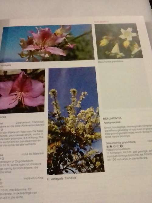 # `WATTER BLOM IS DIT?` - DEUR KRISTO PIENAAR - PLEASE READ BELOW FOR INFO