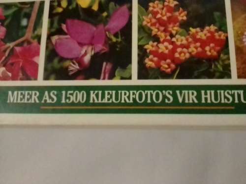# `WATTER BLOM IS DIT?` - DEUR KRISTO PIENAAR - PLEASE READ BELOW FOR INFO