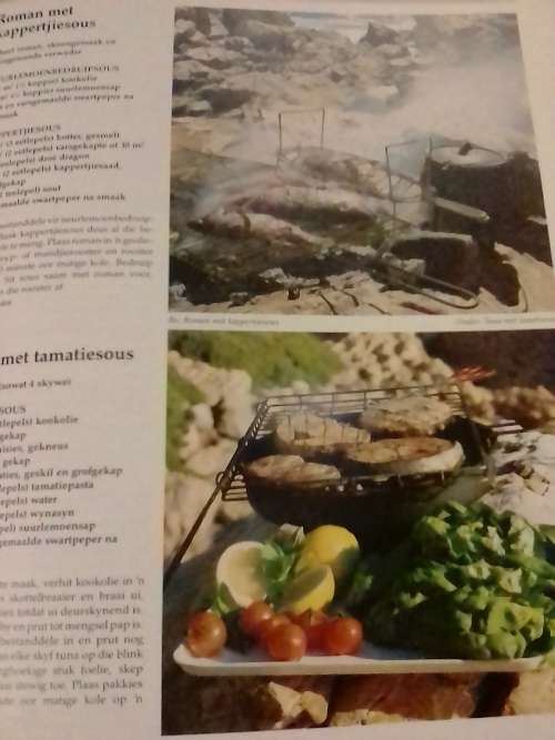 # `BRAAI RESEPTE` - DEUR CHRISTA KIRSTEIN - PLEASE READ BELOW FOR INFO