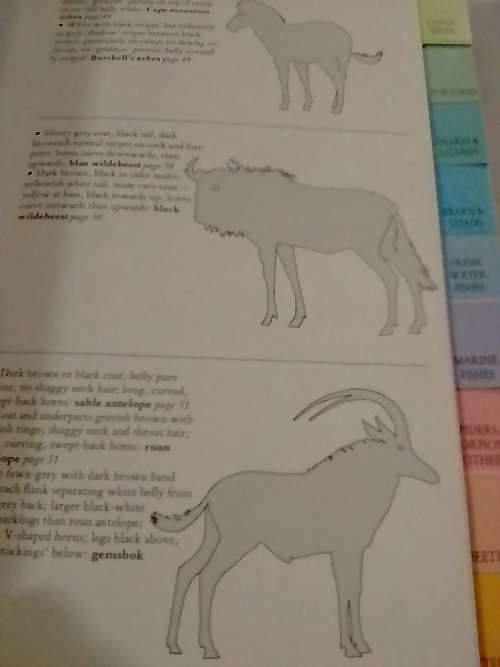 Southern Africa Wildlife, very good guide to our animals and more.