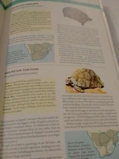 Southern Africa Wildlife, very good guide to our animals and more.