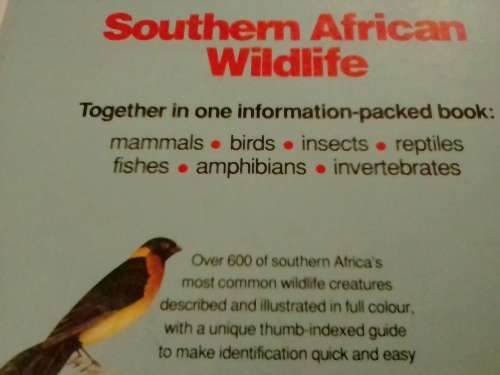 Southern Africa Wildlife, very good guide to our animals and more.