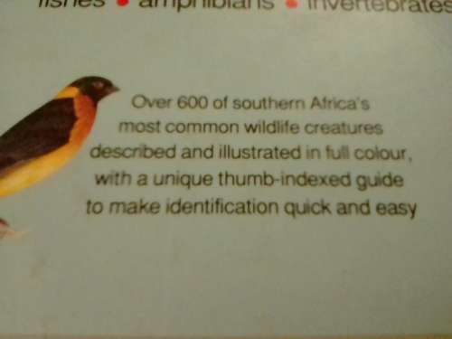 Southern Africa Wildlife, very good guide to our animals and more.