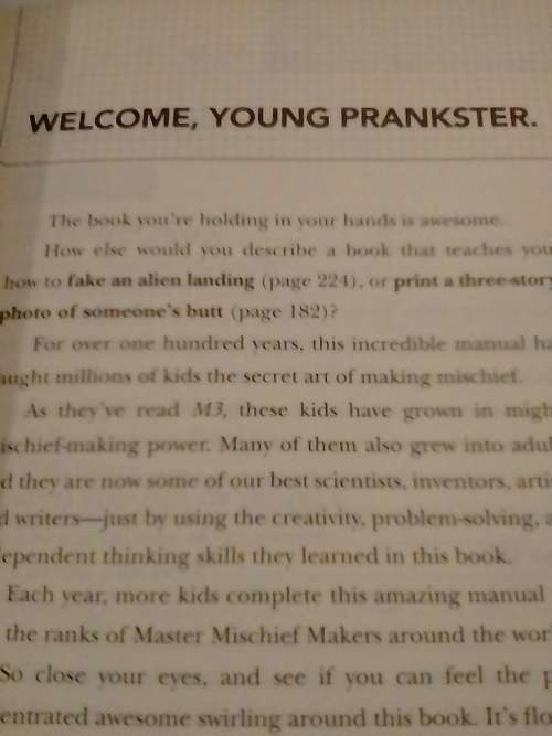 Mischief maker's manual, awesome pranks, 261 Pages.